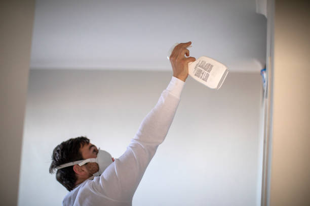 Best HVAC Mold Remediation in Champaign, IL
