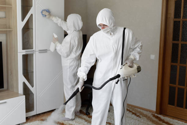 Best Basement Mold Remediation in Champaign, IL
