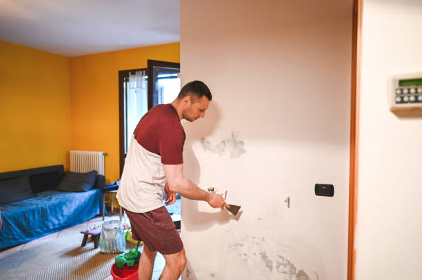 Best Mold Testing and Inspection Services in Champaign, IL